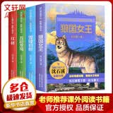 沈石溪动物小说感悟生命书系 狼国女王+红豺+雪域豹影+五彩龙鸟