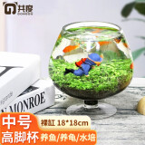 共度（Gong Du）玻璃鱼缸球形圆形缸生态草缸乌龟缸居家创意桌面水族箱观赏金鱼缸 高脚杯中号裸缸18.5*18.5cm