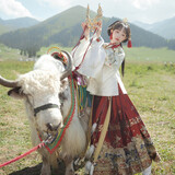 十三余小豆蔻儿[九曜金枝]织金刺绣云肩交领袄马面裙明制汉服女秋 马面裙(红色) 现货 L