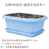 美外 矮加仑花盆泥土带土加仑盆盆土 蓝色种菜盆+种菜土