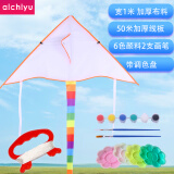 爱吃鱼（aichiyu）涂鸦教学风筝diy纯白涂色绘画风筝风筝自制材料包男孩女孩玩具