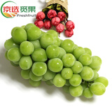 京果予晴王阳光玫瑰葡萄新鲜水果无籽提子香印晴王节日高端水果礼盒送人 净重4斤（甄选特级果）