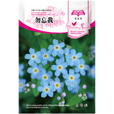 花友秀 花卉种子 四季种植 家庭阳台 园艺休闲 勿忘我花卉种子300粒