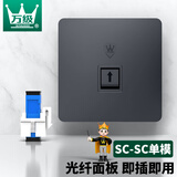 万级（OFNPFTTH） 电脑光纤插座面板 86型SC耦合器光纤墙壁插座 移动光纤接口面板插座 灰色单口 2-81115