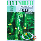 一播大地 水果黄瓜 黄瓜菜籽翠绿黄瓜四季种植蔬菜种子阳台种菜 盆栽 易种 卡其荷兰水果黄瓜种子原装50粒