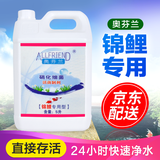 奥芬兰（ALLFRIEND）鱼缸硝化细菌水族箱稳定净化水质剂澄清剂淡海水通用锦鲤龙鱼专用 锦鲤专用 5L/桶