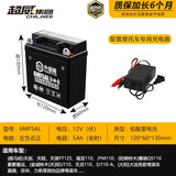 超威（CHILWEE）12v5ah助力摩托车蓄电池雅马哈天剑125铃木赛驰110弯梁车电瓶 超威黑金升级版6MF5AL+充电器