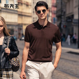布先生明星同款可机洗毛T羊毛短袖毛衣男士针织打底衫 【翻·领】雪茄咖 L (175)