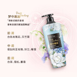 菲诗小铺（THE FACE SHOP） 梦中邂逅香氛洗发水400ml 持久留香