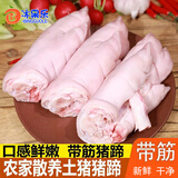 万鲜王农家散养小香猪新鲜宰杀猪蹄带筋猪蹄免处理猪蹄新鲜速冻发货 带筋土猪蹄(2只)