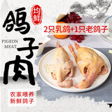 均鲜新鲜原粮乳鸽生鲜鸽子现杀农家非老鸽肉烧烤清蒸孕妇产妇月子煲汤 950g 2只乳鸽+1只老鸽