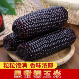 东北黑玉米10根新鲜紫黏玉米双棒装即食甜嫩苞米粒真空蔬菜 10黑(高品质)