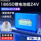 德力普（Delipow）18650锂电池组 24V大容量3000mAh可充电电池适用户外音响/太阳能灯/玩具车/唱戏机等