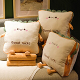 天丂 法兰绒抱枕被子多功能两用二合一暖手抱枕车载被子办公室腰靠 吐司【可爱款】1*1.7m毯