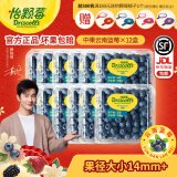 怡颗莓【果肉细腻】当季云南蓝莓 国产蓝莓 新鲜水果 云南当季125g*12盒