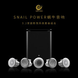 SNAIL POWER IW4 蜗牛隐形客厅定制家庭影院 7.1影院吸顶音响 嵌入式客厅背景音乐音箱 IW4音箱+S10C炮（5.1影院套装）