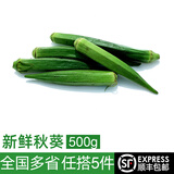 绿食者 新鲜秋葵500g 水果秋葵 六角羊角豆 新鲜当季农家蔬菜