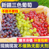 骄瑰新疆葡萄新鲜 吐鲁番无核白葡萄新疆三色玻璃脆马奶提子新鲜水果 新疆-三色葡萄-三拼装 净重 4斤 带箱5斤 精品果【80%选择超划算】