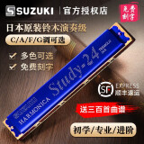 SUZUKI日本铃木口琴 24孔双孔单音C大调初学者学生成人专业演奏级口琴 蓝色C调++全套初学者资料