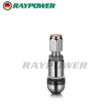 RAYPOWER(瑞柏尔）铝合金气门嘴汽车轮胎气门嘴帽铝合金气门嘴帽轮胎气嘴 铝合金气门嘴 单只装
