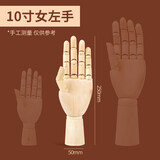 柏伦斯漫画小木人模型木头人素描绘画木偶人关节人偶模型木手人体模型美术用室内摆件 10英寸【24cm】女人左手