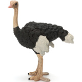 玛奇乐（MECHILE）仿真飞禽鸟类动物模型玩具金刚鹦鹉火烈鸟鸵鸟幼儿园动物认知教具 鸵鸟