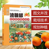 图说沙糖橘高效栽培技术 果树种植技术书籍大全果树修剪与管理 砂糖橘沙糖桔栽培技术书 柑橘栽培技术