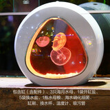 月光水母水母入门套装海水宠物迷你鱼缸赤月海月观赏桌面网红水母缸第5代 7L水母缸套装(3海月)