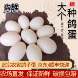 均鲜新鲜鸽子蛋杂粮喂养农家特产白鸽蛋信鸽蛋孕妇宝宝儿童土鸽子蛋 20枚大个种鸽蛋