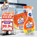 威猛先生（Mr Muscle）油污净厨房重油污清洁剂油烟机抽烟清洗剂泡沫清洁强力去重油 厨房重油污净455g+420g补充装