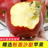 玫栀 新鲜粉面沙苹果宝宝刮泥老人婴儿吃面苹果农家新鲜水果整箱 5斤75mm(含)-80mm(不含)  精选粉面果