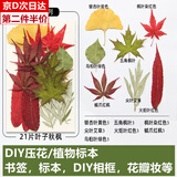 馨年干花树叶书签粘贴画学生幼儿园儿童手工画diy材料包真花秋天标本 DIY秋天枫叶【21片】