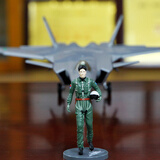 terebo特尔博1:48歼20战斗机模型中航工业仿真合金飞机模型航展纪念品 升级版组合装(配飞行员)