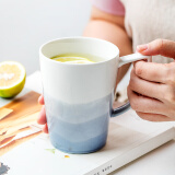 悠瓷（youcci） 雾海创意陶瓷杯子欧式咖啡杯牛奶杯简约马克杯大容量北欧家用情侣喝水杯 雾海系列-马克杯