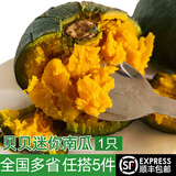 绿食者 贝贝南瓜1只 板栗味贝贝小南瓜栗面日本老瓜粉糯甜 新鲜蔬菜 250g-300g