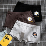 宝盖丁男士内裤男平角透气宽松平角裤小雏菊纯棉四角裤衩春夏男式内裤 【3条装】黑+咖啡+灰 XL