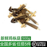 绿食者新鲜黑皮鸡枞菌500g 食用菌菇 长根菇荔枝菌鸡棕菇 煲汤食材