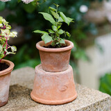 掬涵红陶小花盆多肉绿植盆花器特大号粗陶陶土透气泥瓦培栽盆种植花器 B款小号1个（12*9.5cm）