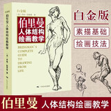 伯里曼人体结构绘画教学（白金版）伯里曼速写人体画 手五官头像绘画教程