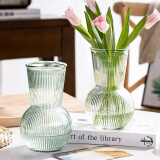 极度空间 玻璃花瓶水培植物插花瓶生态花瓶透明创意礼物桌面客厅办公桌家居装饰摆件 简约圆底花瓶