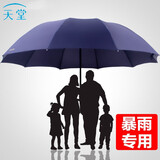 天堂伞雨伞男女加大超大号三折叠伞三人大伞太阳伞全钢十骨大伞广告伞企业定制LOGO 藏青色-10骨超大三人伞127cm -雨伞