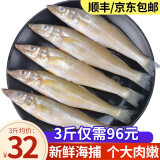 鲜拔头筹沙丁鱼 1500g  新鲜海捕鲜活冷冻深海鱼沙丁鱼 烧烤食材 海鲜水产 1500g