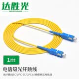 达胜光 电信级光纤跳线 SC-SC单模单芯 低烟无卤光纤线 收发器尾纤连接线 1米3.0 DSG-SUSU01S