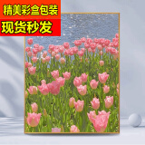 QUEENJOY郁金香diy数字填充涂色手绘油彩画手工填色涂鸦画送女友闺蜜礼物 郁金香 A2347【绷好内框】 40*50彩色护眼画板整套（推荐）