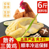 岽鲜 农家散养土鸡 三黄鸡 新鲜整只走地鸡柴鸡 鸡肉生鲜 净重2斤/只 3只装