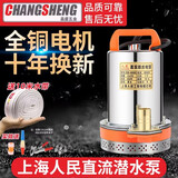 澜予上海人民12V24V48V60V72V直流潜水泵抽水泵家用农用刷车电瓶车 48V60V通用320瓦10米电线一寸口