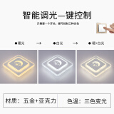 胜森 LED菱形过道灯走廊灯 入户灯门厅进门玄关灯简约现代创意楼道灯 菱形（月亮）三色 暗装开孔5-9厘米