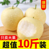 融暖（RONGNUAN）【现货】正宗河北皇冠梨薄皮10斤雪梨砀山梨大果新鲜应季水果 带箱(9.5-10)斤【大果】脆甜
