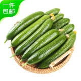 京鲜生 山东荷兰水果黄瓜 净重1.5kg 青瓜新鲜蔬菜健康轻食 源头直发