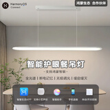 华米元华小艺为hilink智能调光调色餐厅吊灯轻奢灯具支持HUAWEI HILINK 支持鸿蒙智联-长椭圆哑白36瓦